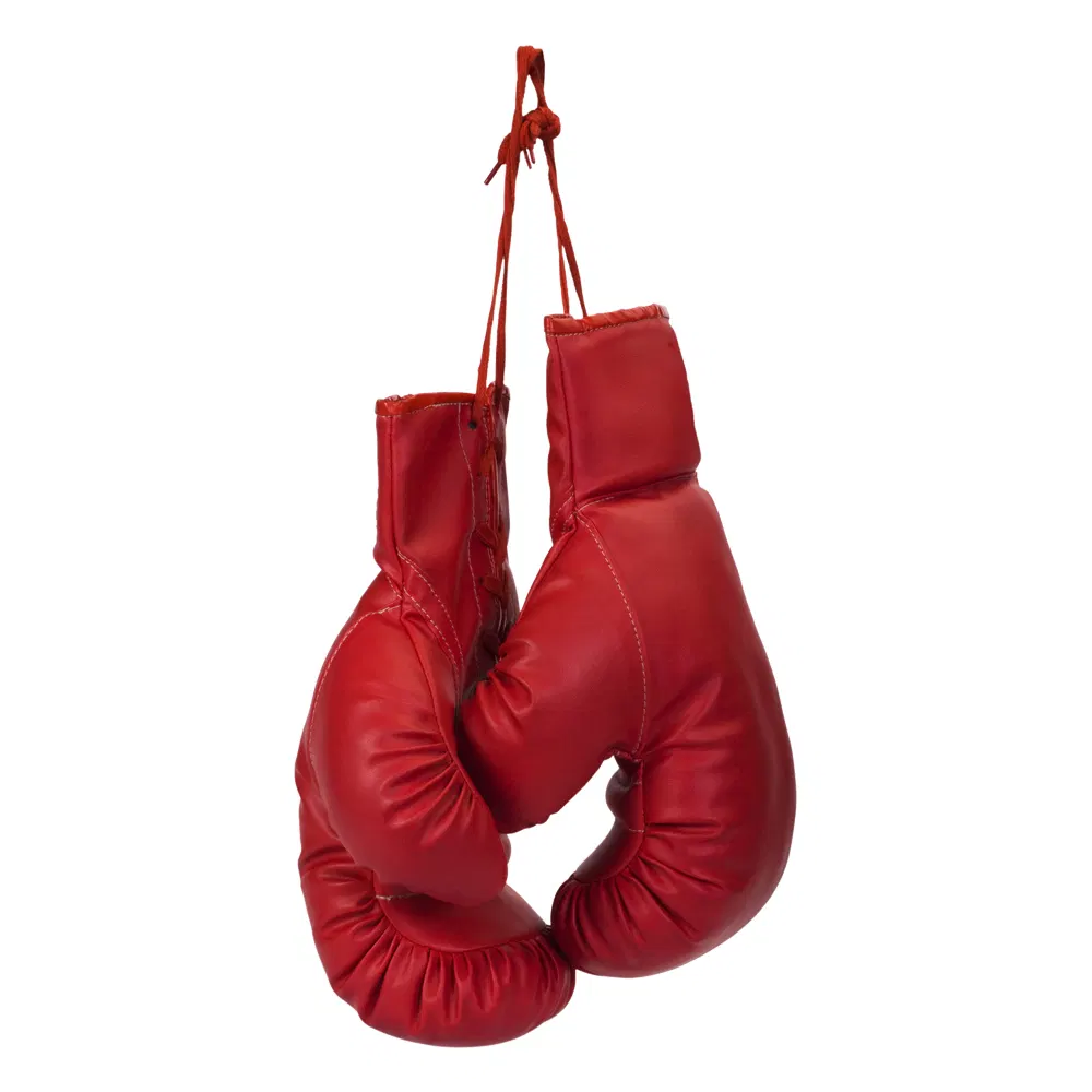 Boxing Gear — view 4