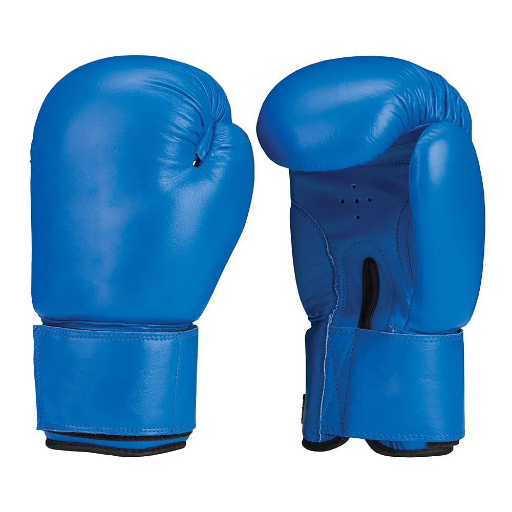 Boxing Gloves — SOHAN TRADERS