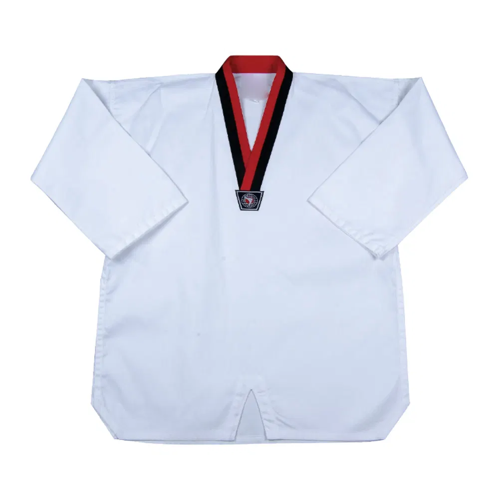 Taekwondo — view 5