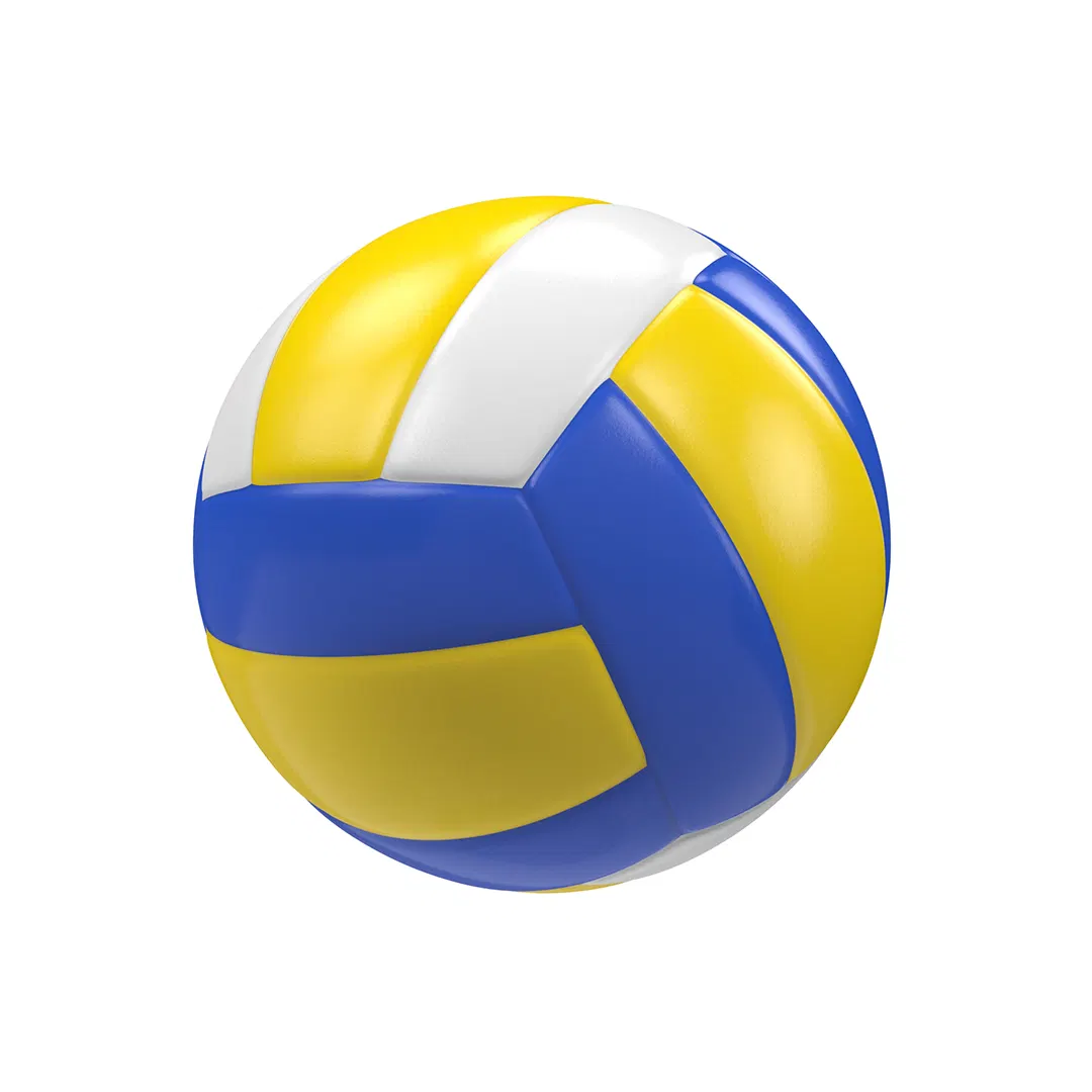 Volleyballs — view 4