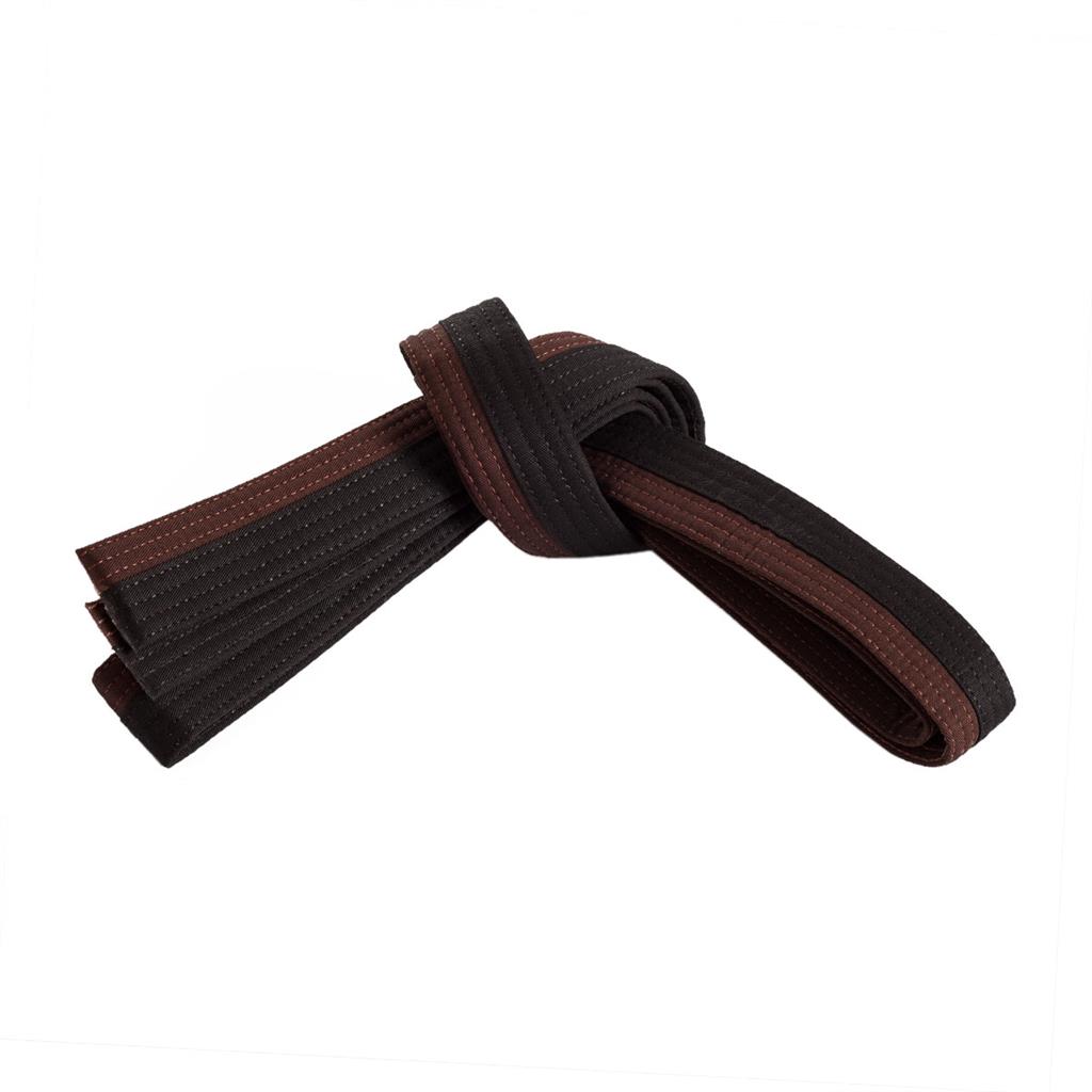 d1-1.jpg Martial Art Belt - Image 1