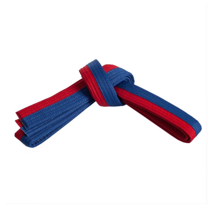 Martial Art Belt - Image 1