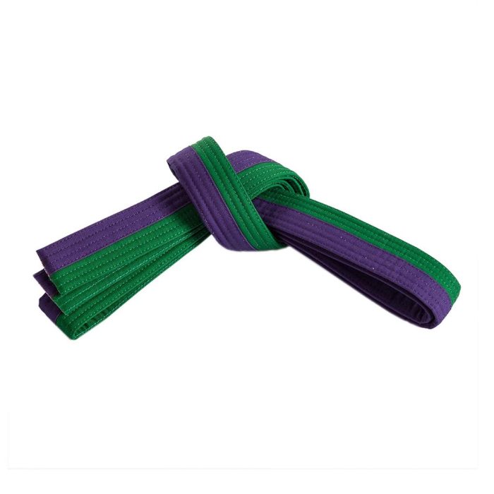 Martial Art Belt - Image 1