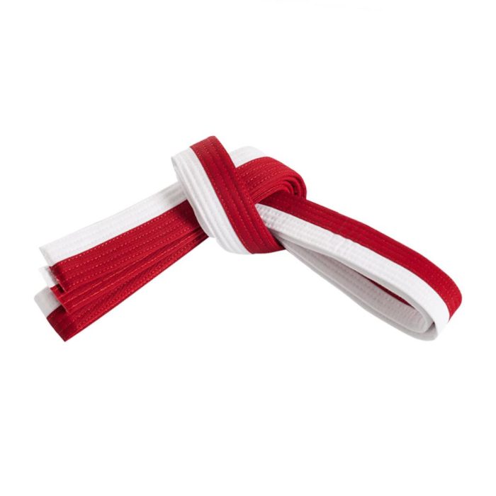 Martial Art Belt - Image 1